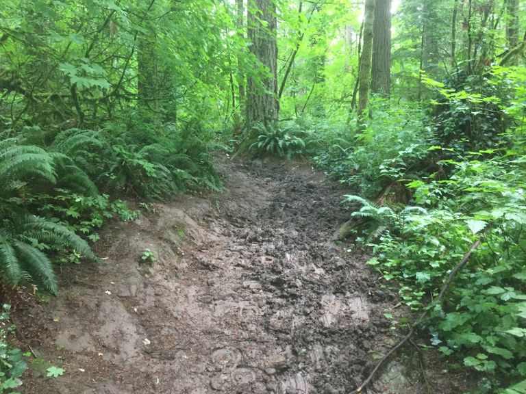 A very muddy trail at Whipple Creek Regional Park in 2014. 