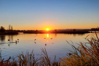 3 (more) reasons why nature is so important for mental, physical and kids’ health