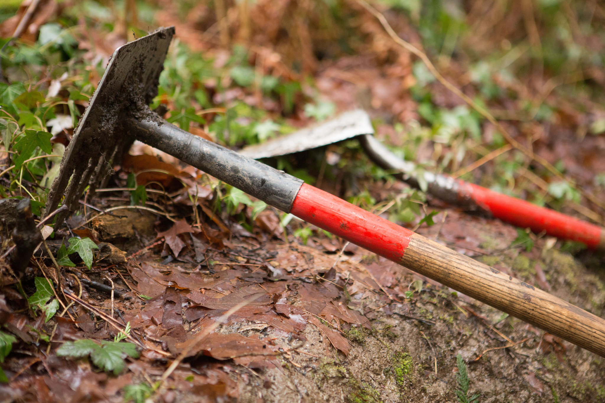 Tools on trail emma cassidy