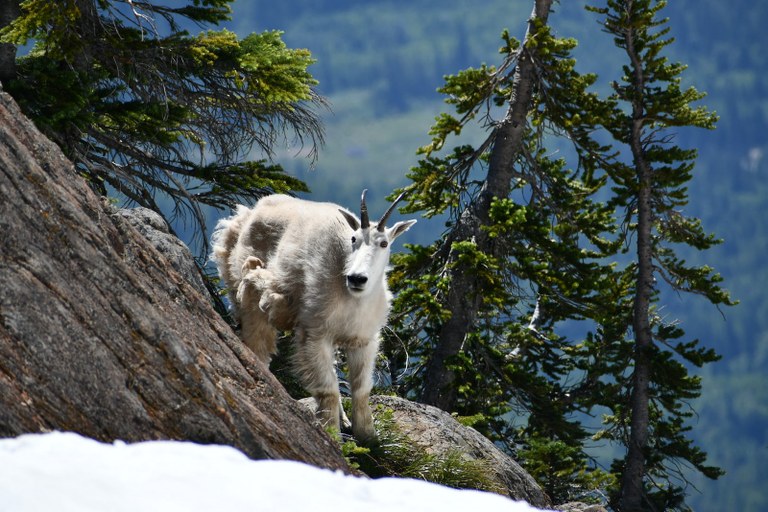 Photo by Alli Brown Photo by Alli Brown