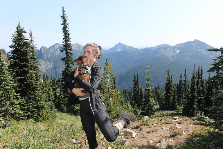 Roxy the dog at Sourdough Gap Roxy the dog at Sourdough Gap