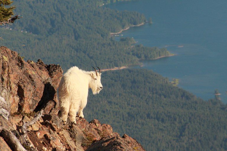 Photo by James Marshall. Photo by James Marshall.