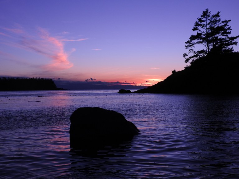 37342707620_7690818cea_k.jpg 37342707620_7690818cea_k.jpg