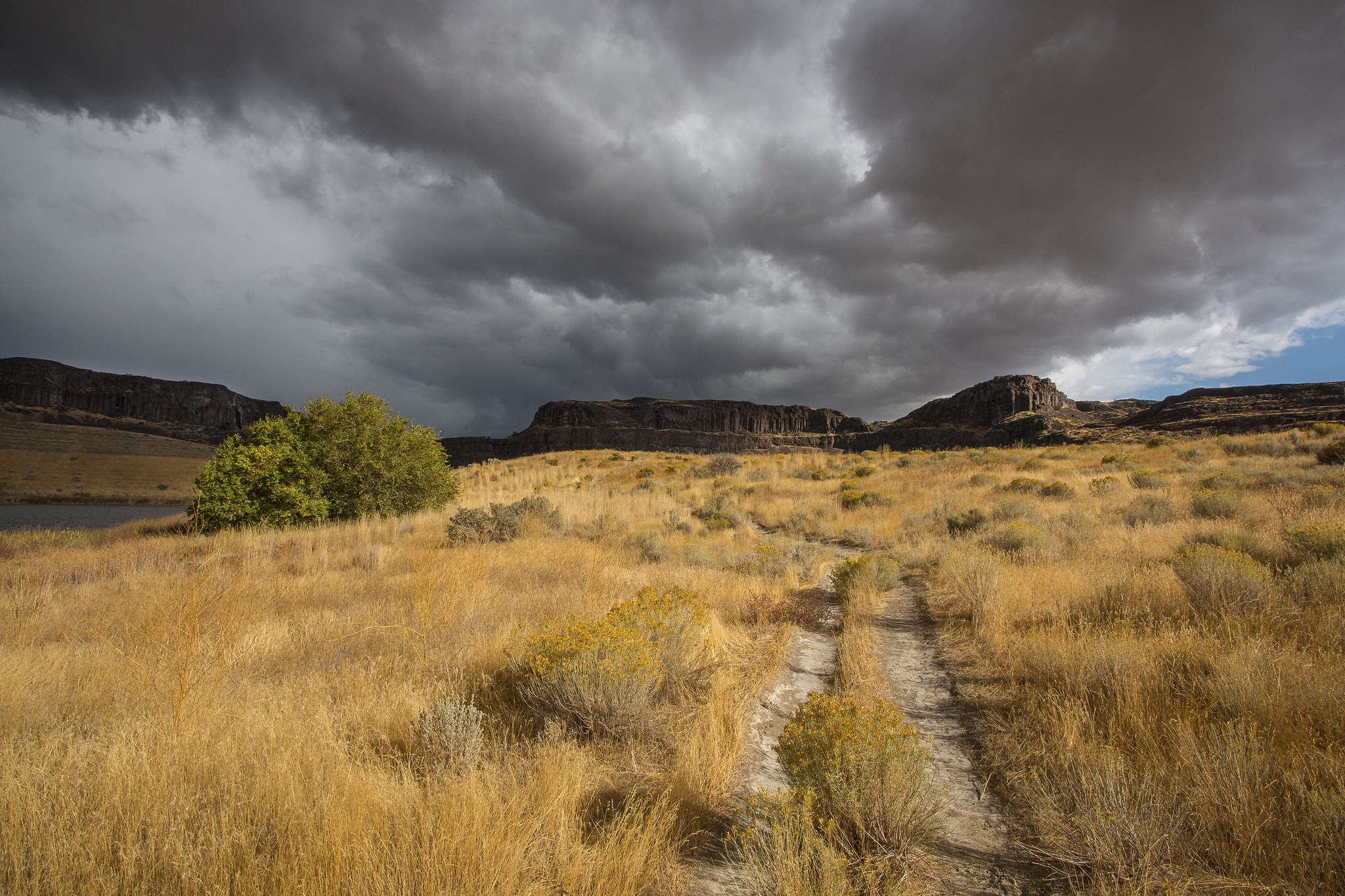 37548490930_d5d4aac93c_k.jpg Emily Fleury - 2nd place Trailscapes