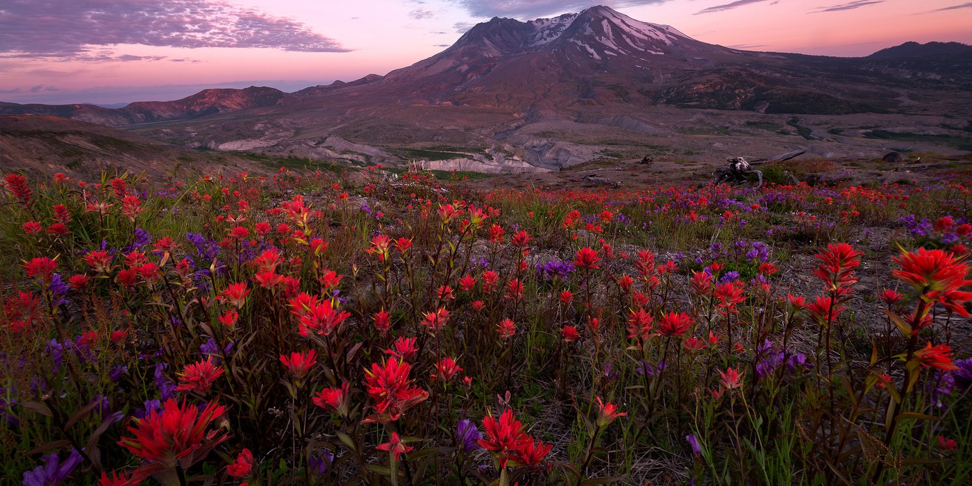 Photo by Brian Smith