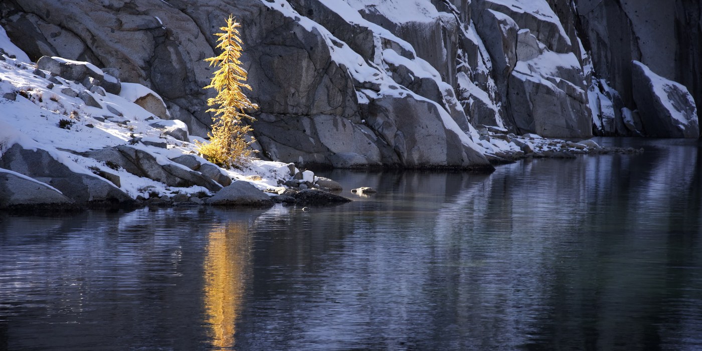 Photo by Andrew Rossi