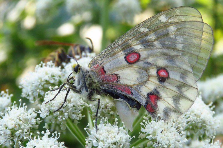 45034074552_7495ead1f3_k (1).jpg