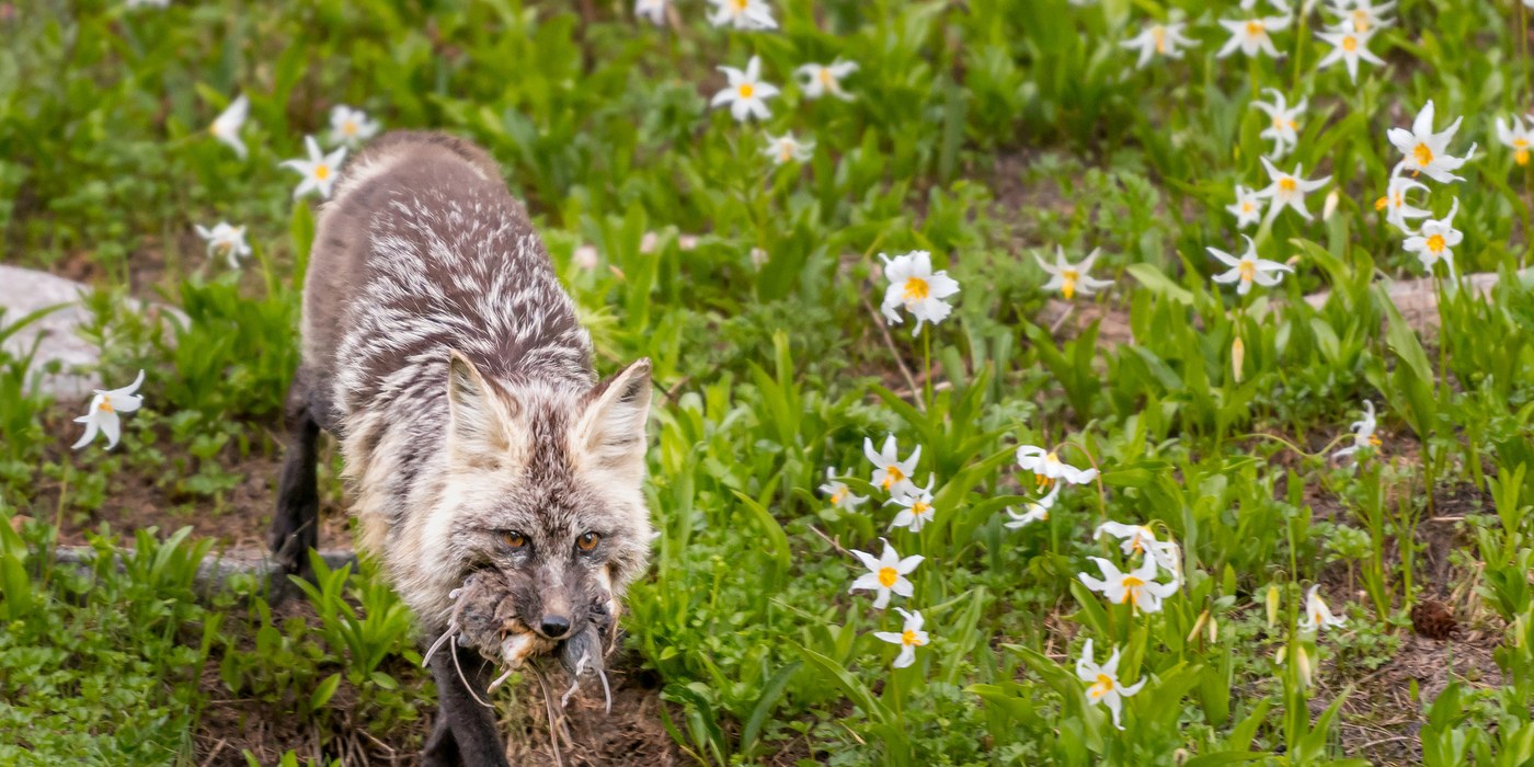 Photo by Kelly Vandellen