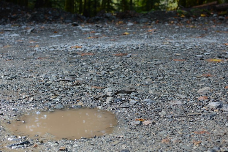 Potholes filled with water on a gravel road. Photo by Christina Hickman.