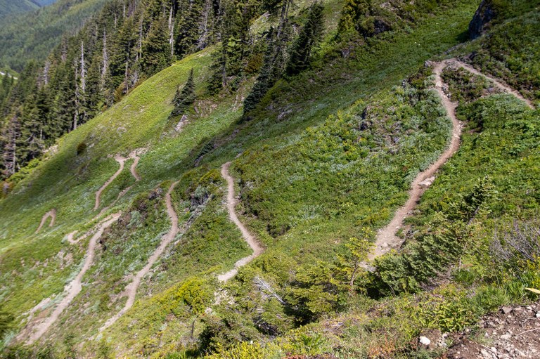 Switchbacks! Ah! By Tonya Christoffersen