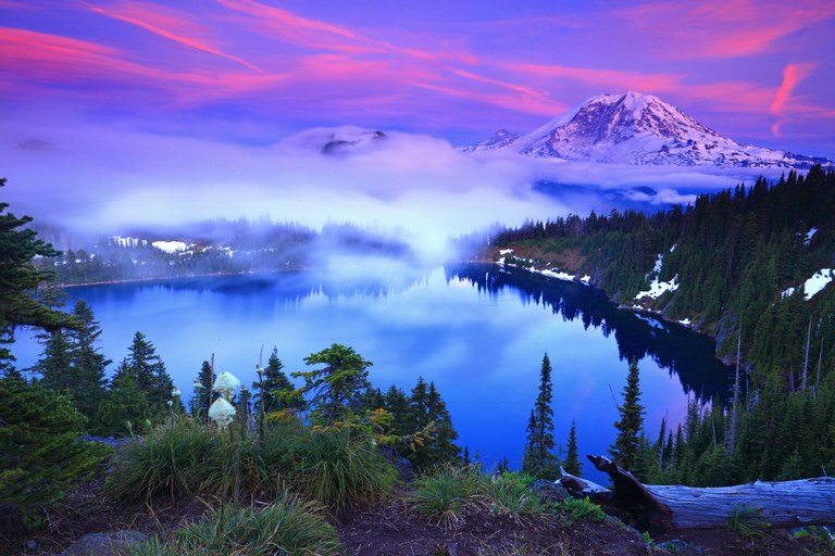 Mt. Rainier by Randall Hodges 49558295272_9d2437298d_o.jpg