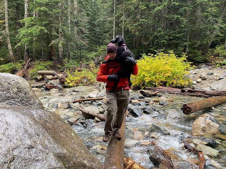 Sophie, the poodle Sophie being carried by her human across a log bridge over a river.
