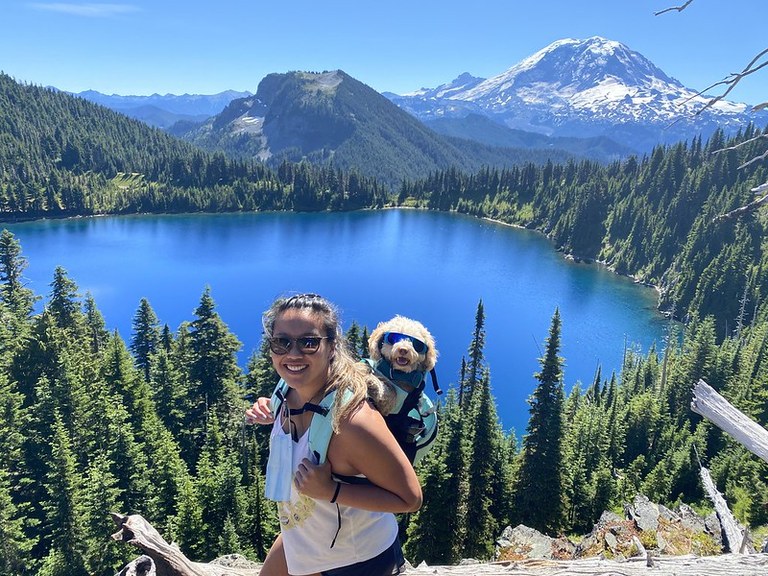 Noodle the dog in a backpack Noodle the dog in a backpack