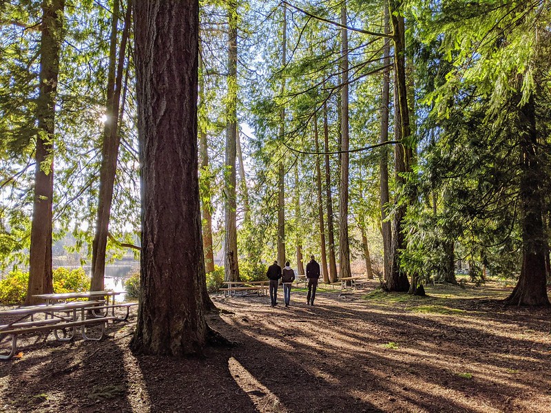 50500138227_ab8e4619c9_c.jpg 50500138227_ab8e4619c9_c.jpg