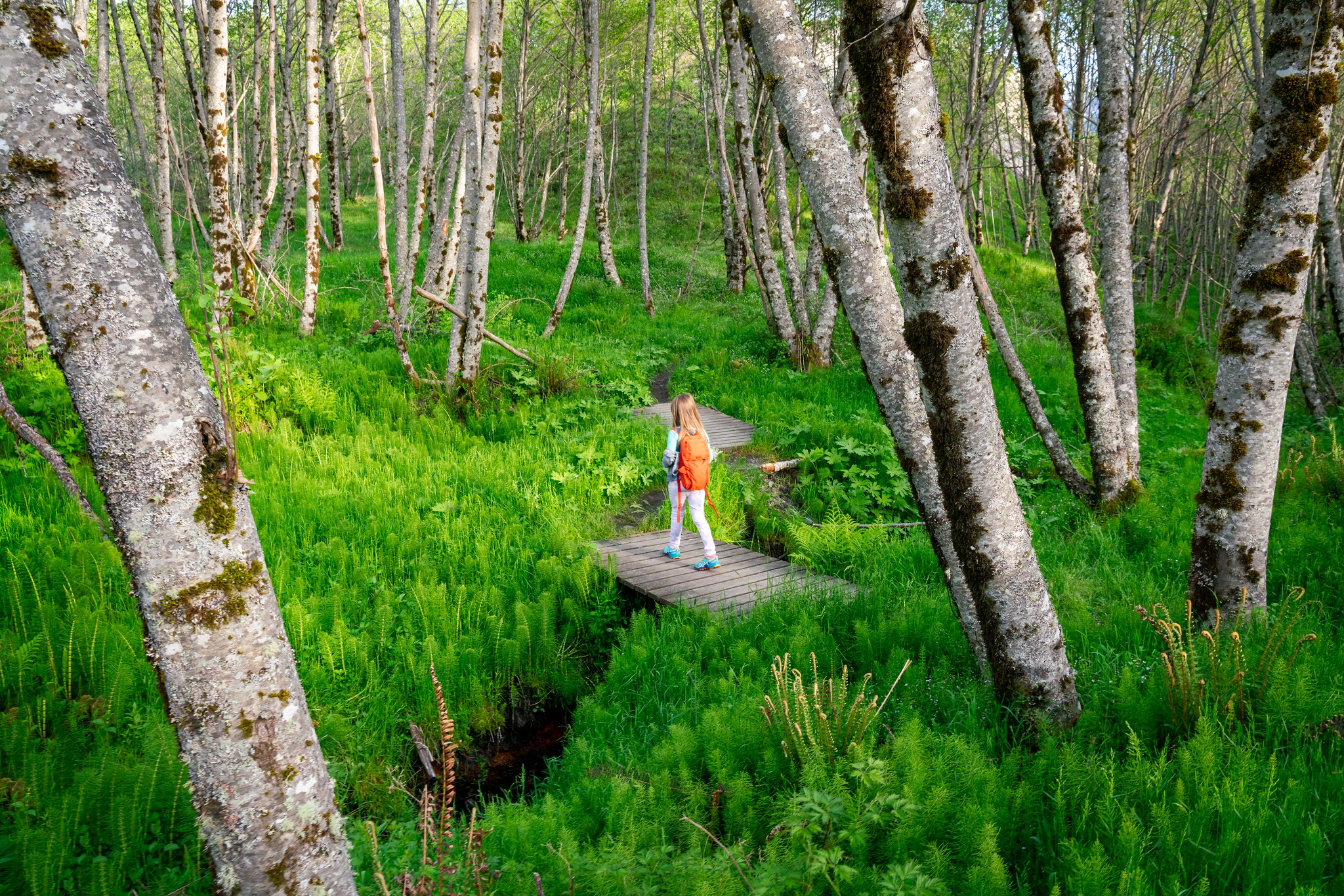 Photo by Aaron Wilson Girl walking in forest with trees and greenery