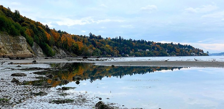 Image: A picture of the mirror-like tide pools at South Beach Discovery Park. Photo by James Town.