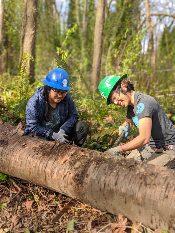 Sawing a log in Glendale Forest