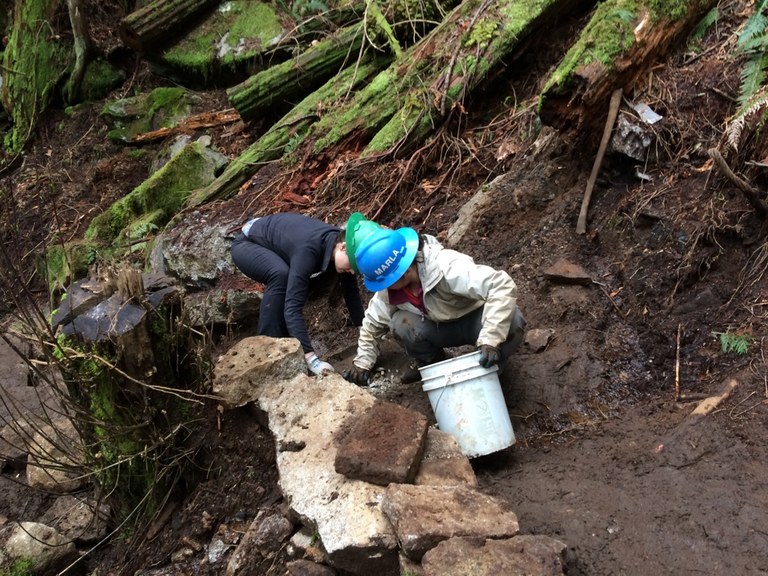 WTA trail crew members working on the Leovy Trail to Heybrook Ridge. Photo courtesy of Ann Darlington.
