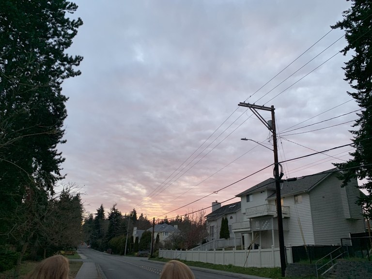 6b703ad3-4463-45c2-836e-f203ff46a8bd.jpeg