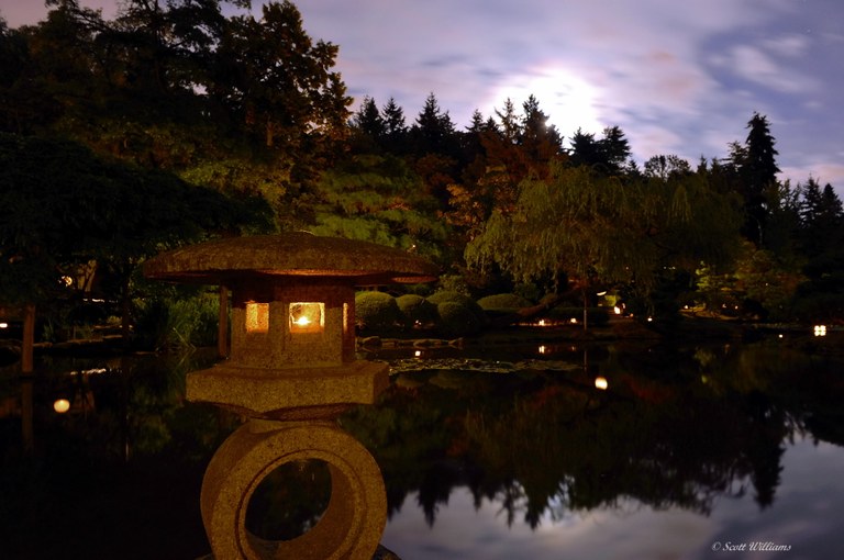 Lights reflect off of the placid water of the Seattle Japanese Gardens.
