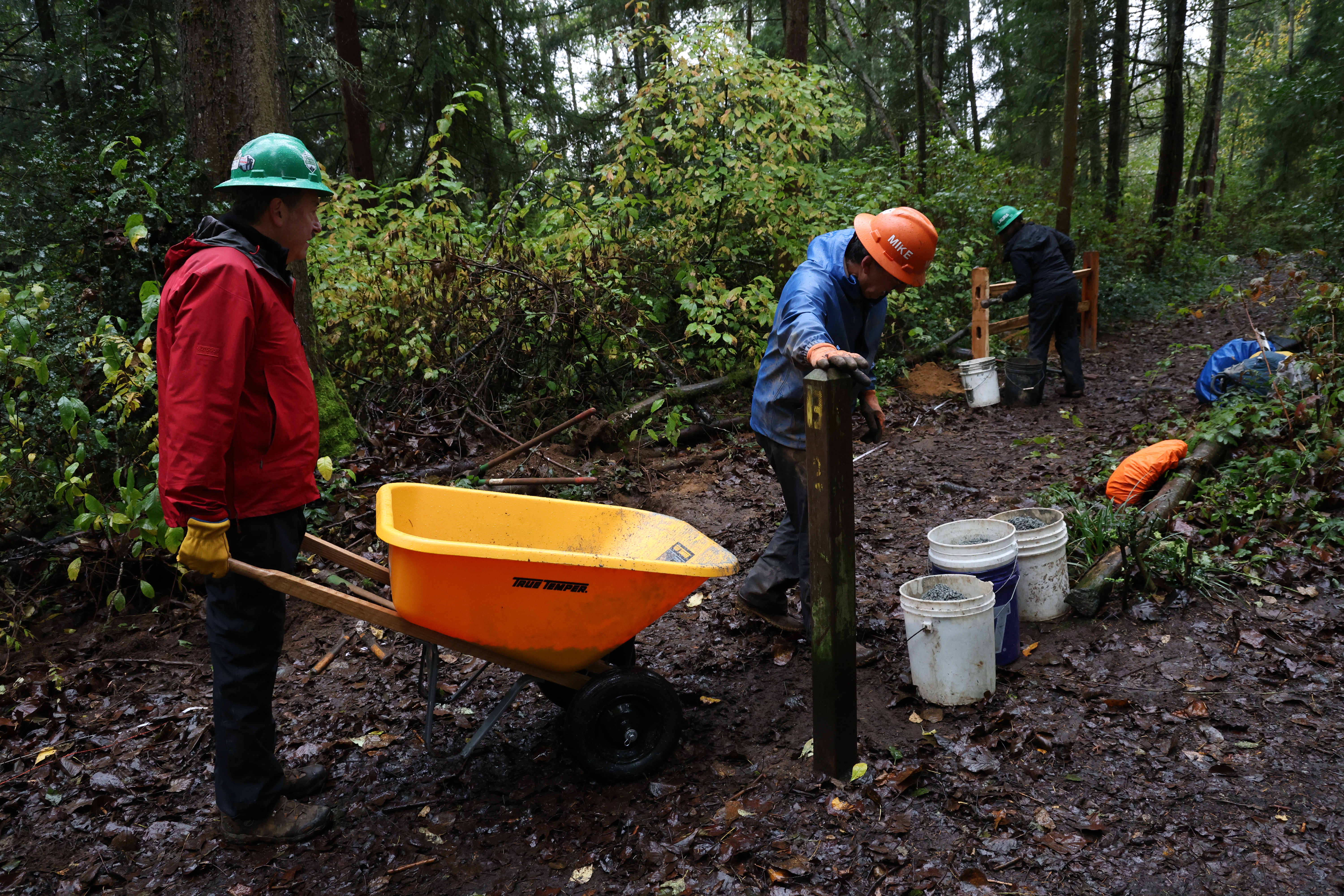 Kurt Imerman carries wheel barrel full of gravel to trail crews installing fencing.  Man in red jacket and green hard hat carries yellow wheel barrel to teams working on fencing. Grey weather on a well established trail within vibrate green forest.
