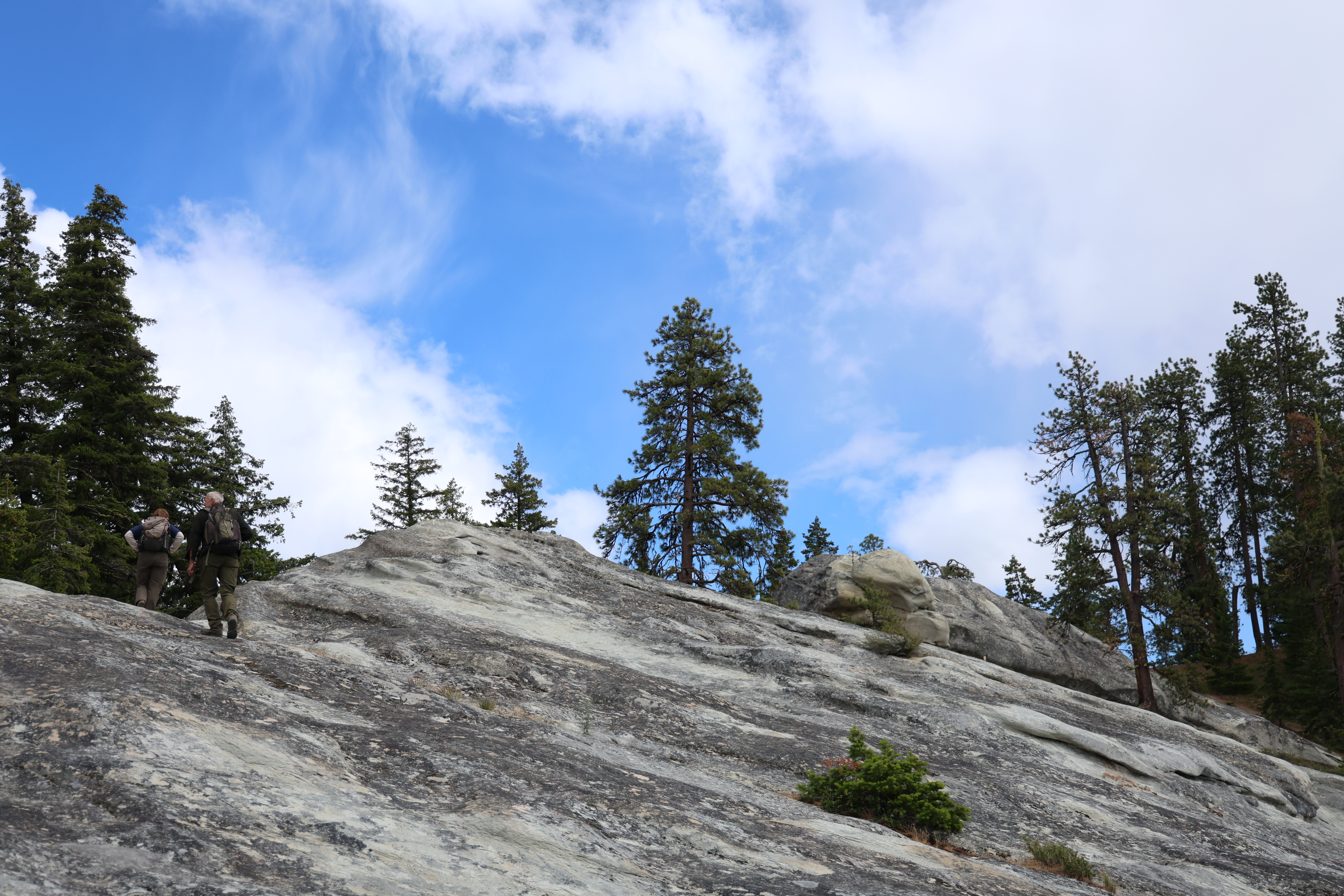 7B9A3236.JPG