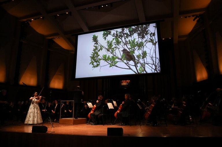 The Northwest Symphony Orchestra with a soloist, with a photo of a bird on a projector screen above the orchestra at the Crescendo 2025 event, hosted by Washington Trails Association (WTA) in partnership with the Northwest Symphony Orchestra. Photo by Victoria Obermeyer.