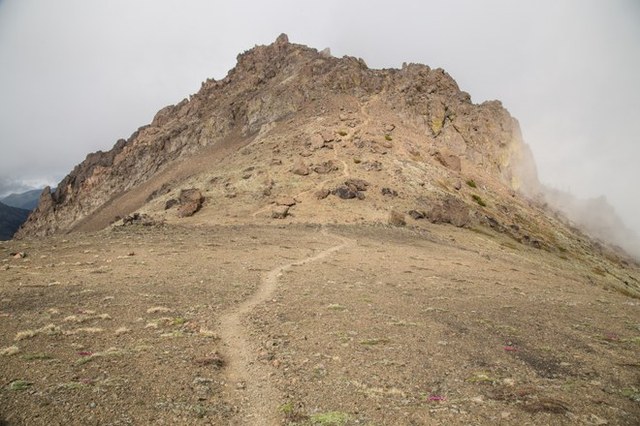 The trail to Buckhorn Mountain. Trip report by Erynn. Photo by Erynn Allen. 