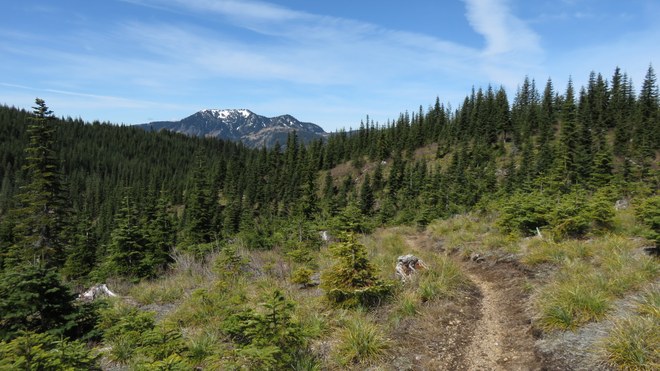 A view of the Pacific Crest Trail, south of Snoqualmie Pass. Photo by Sir-Hikes-a-Lot