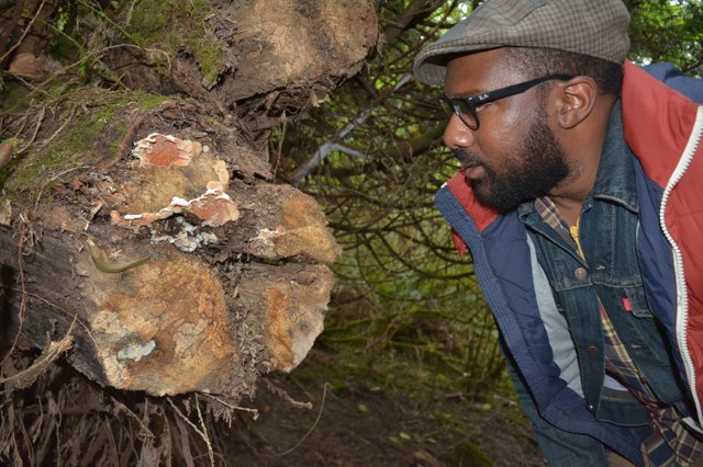 Khavin gets up close to some fungi and a banana slug along the Pipers Creek Trail at Carkeek Park. Photo by Anna Roth. 