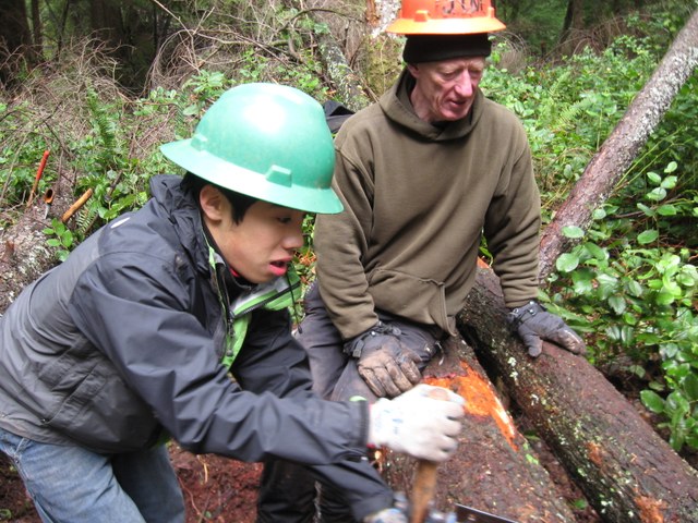 Jim helps a young volunteer learn crosscutting at Grand Ridge. Photo by Jen Gradisher. 