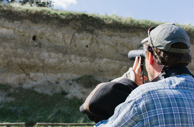 Denny looks for great horned owlets at Bennington Lake. Photo by Anna Roth. 