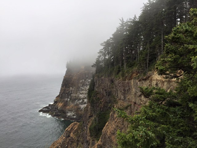 Oregon Coast by Sue Copeland Francisco