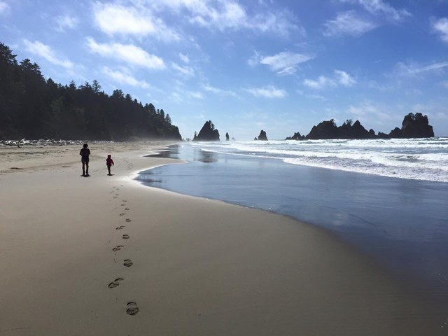 Shi Shi Beach Shi Shi Beach by Kevin Hall