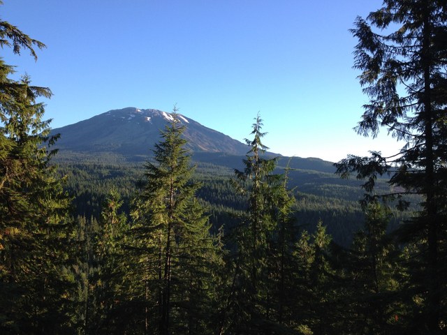 A peak at Mount St. Helens from the Volcano View Trail.