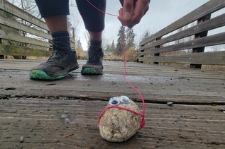 A guide to hiking with your pet (rock) in Washington