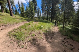 A new Teanaway trailhead and 18 miles of trail — a victory 13 years in the making