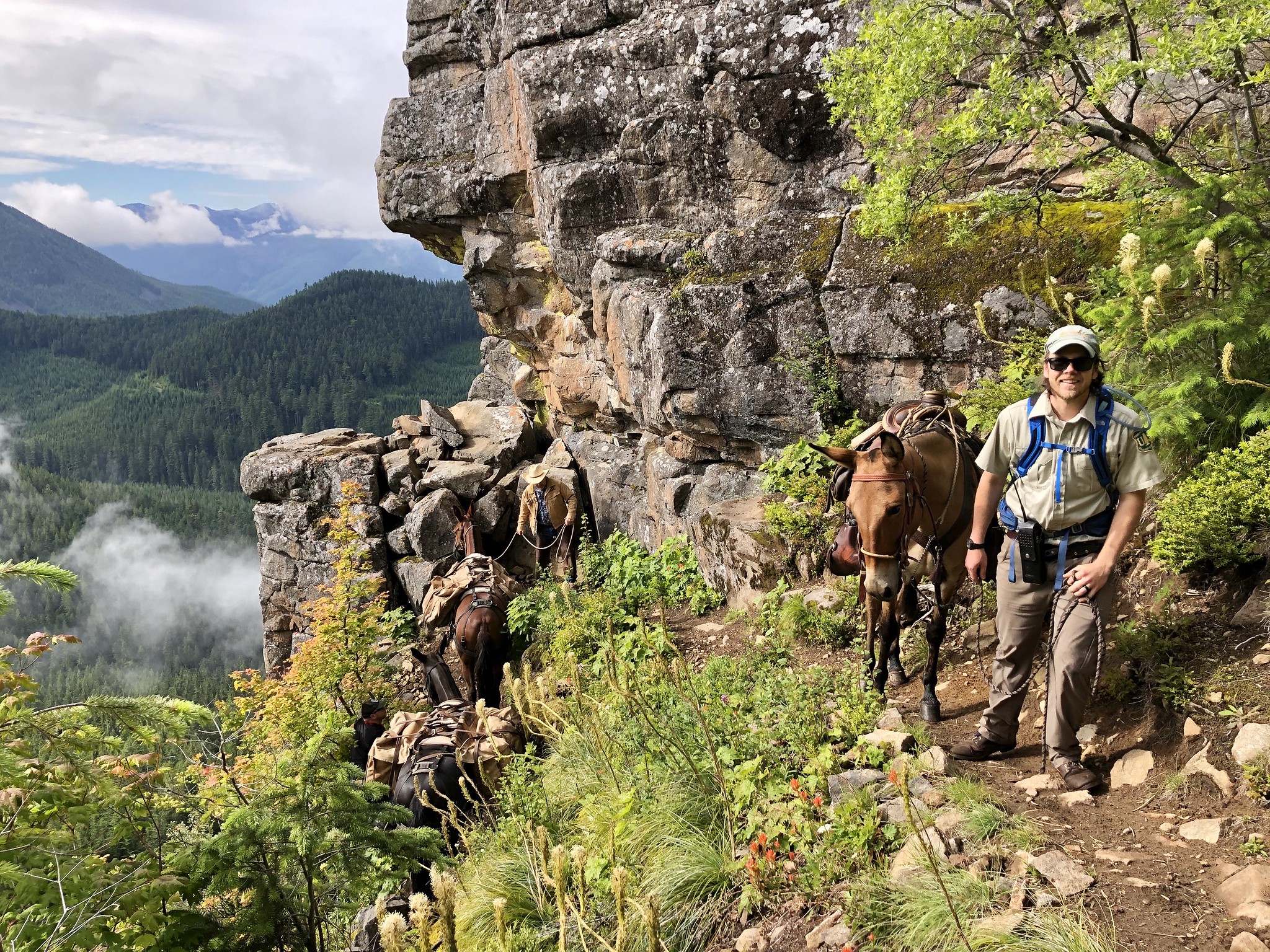 A forest service volunteer and packer lead a pack string up a narrow, steep trail.