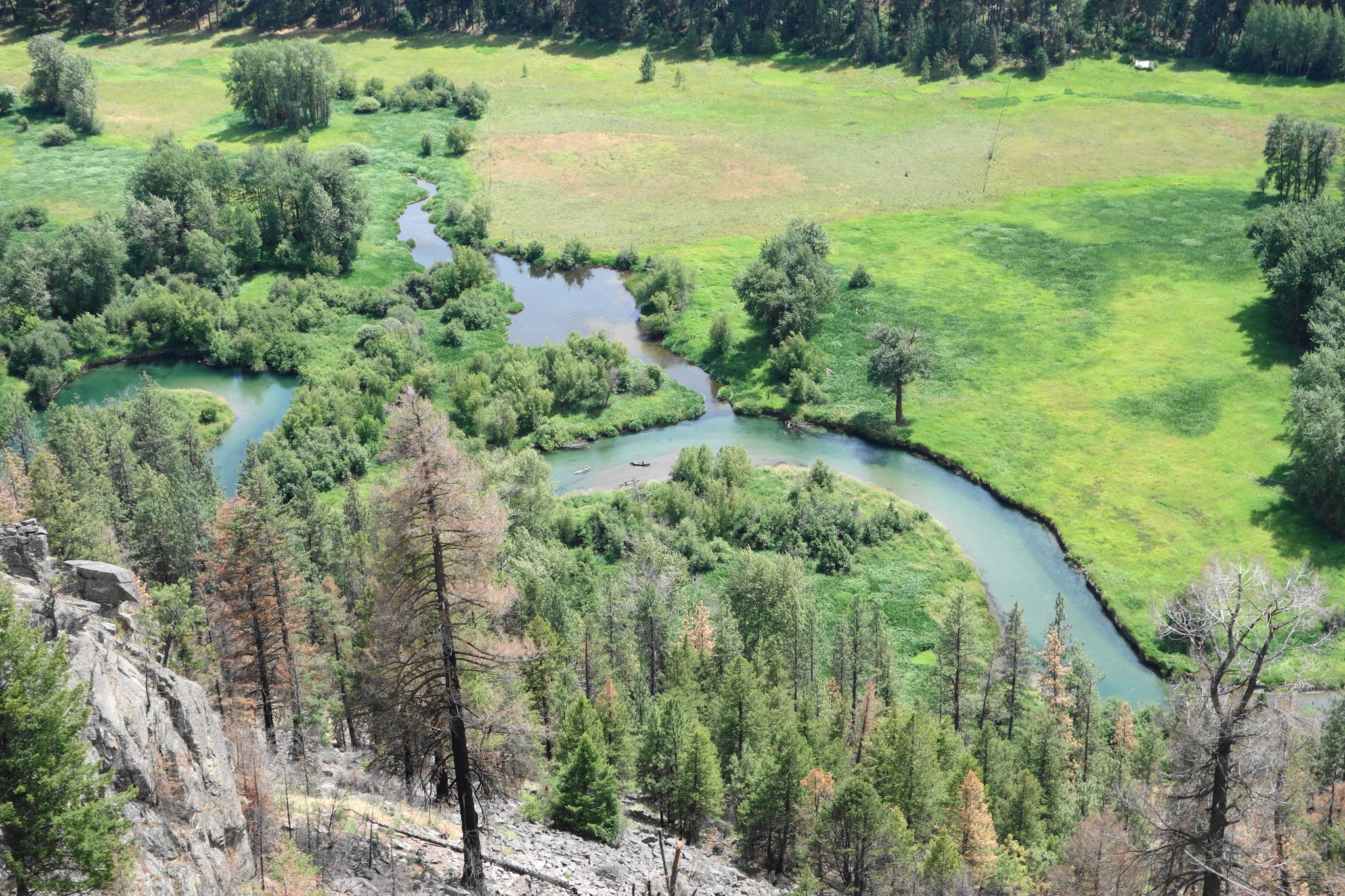 A view of kayakers along the Little Spokane River from the Knothead Loop trail. Photo by Daniel Y..jpeg