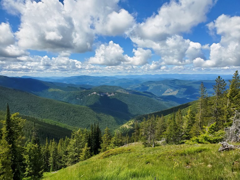 Views of the rolling hills on a cloudy but sunny day from the Abercrombie Mountain trail. Photo by LouD83. 