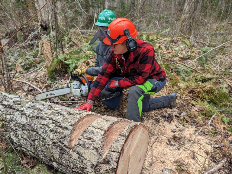 Two trail maintainers practice chainsaw skills on a fallen log.