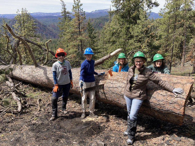 All-womens BCRT logging out Edgar Rock. Photo by Shelly Urlacher. Several women stand in front of a large tree that they are sawing out. There is a crossut saw in the tree and a crew leader is holding onto the saw handle.