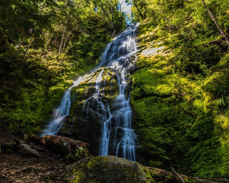 A waterfall cascades over mossy rocks. Photo by Mirek Kohout.