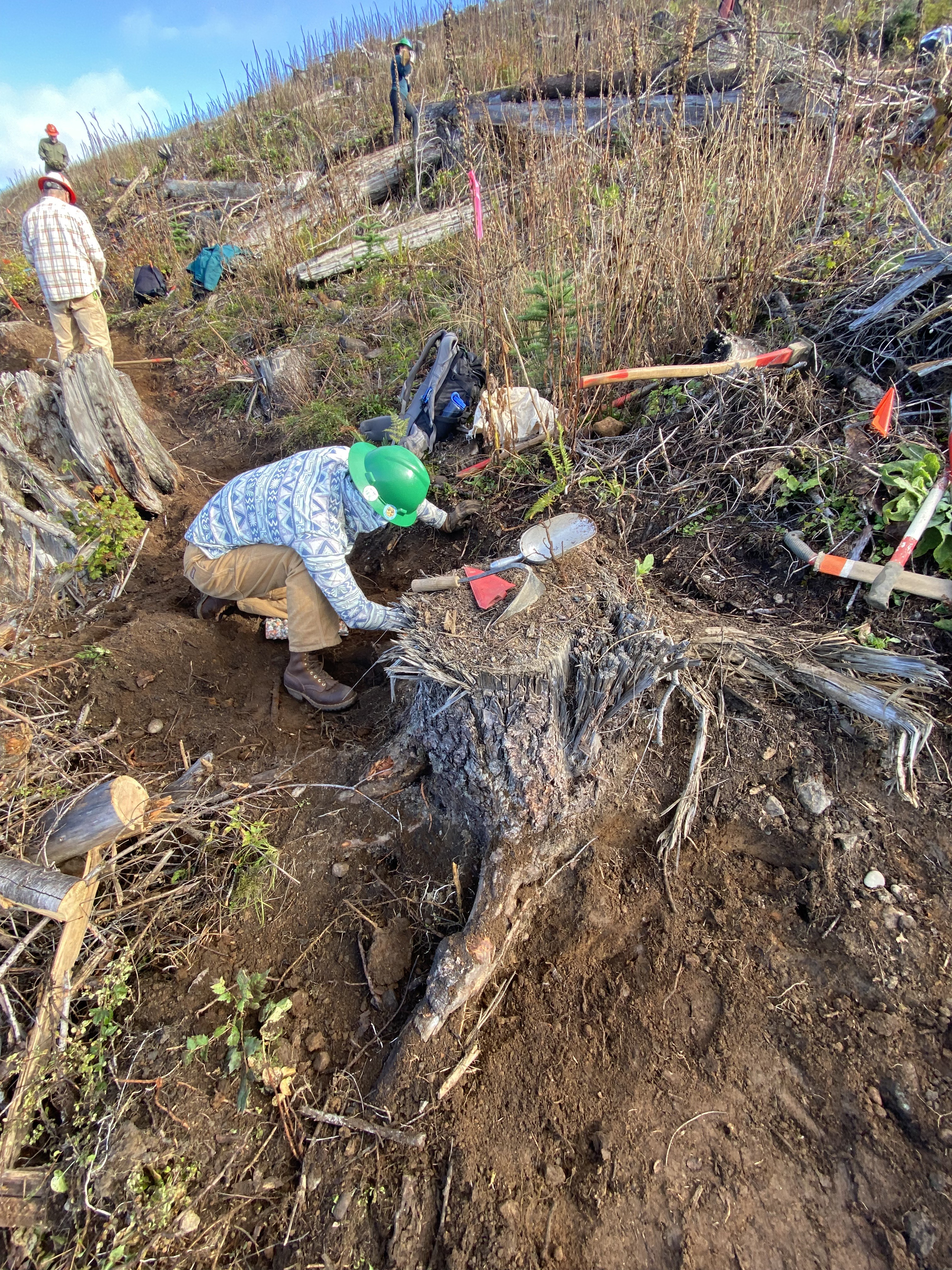 Anne with a volunteer crew at Columbia Mountain in Colville National Forest tackling a root ball, one of her favorite projects. Photo by Anne Kang A WTA volunteer assesses a tricky stump.