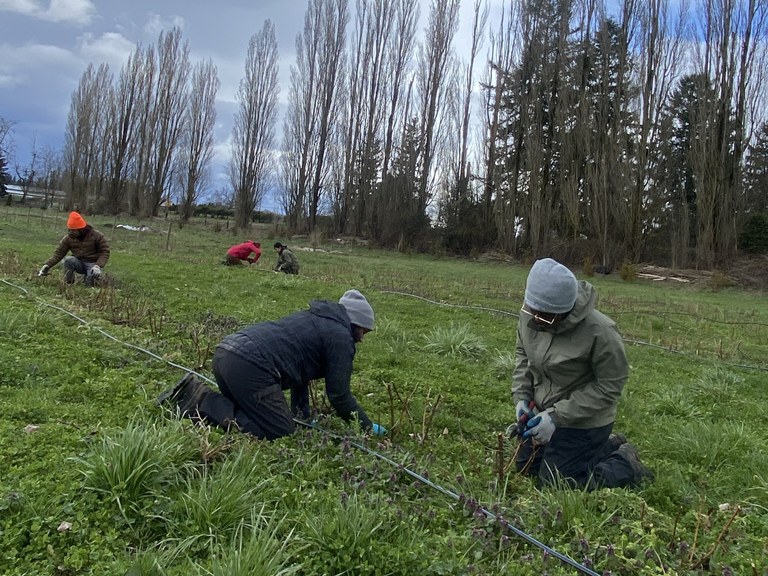 Cohort helping with some restoration work at Ayeko Farm. Photo by MJ Mahan.