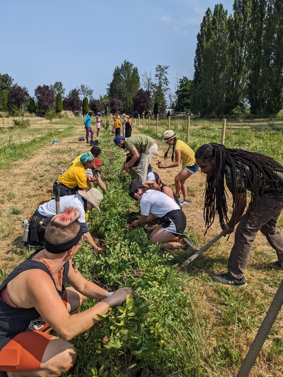 Ayeko Farms A group of people work together on a row of crops.