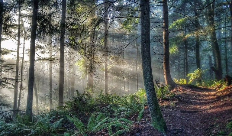 b5c17a0f-85ba-499c-9705-82fc53b9bece.jpg b5c17a0f-85ba-499c-9705-82fc53b9bece.jpg