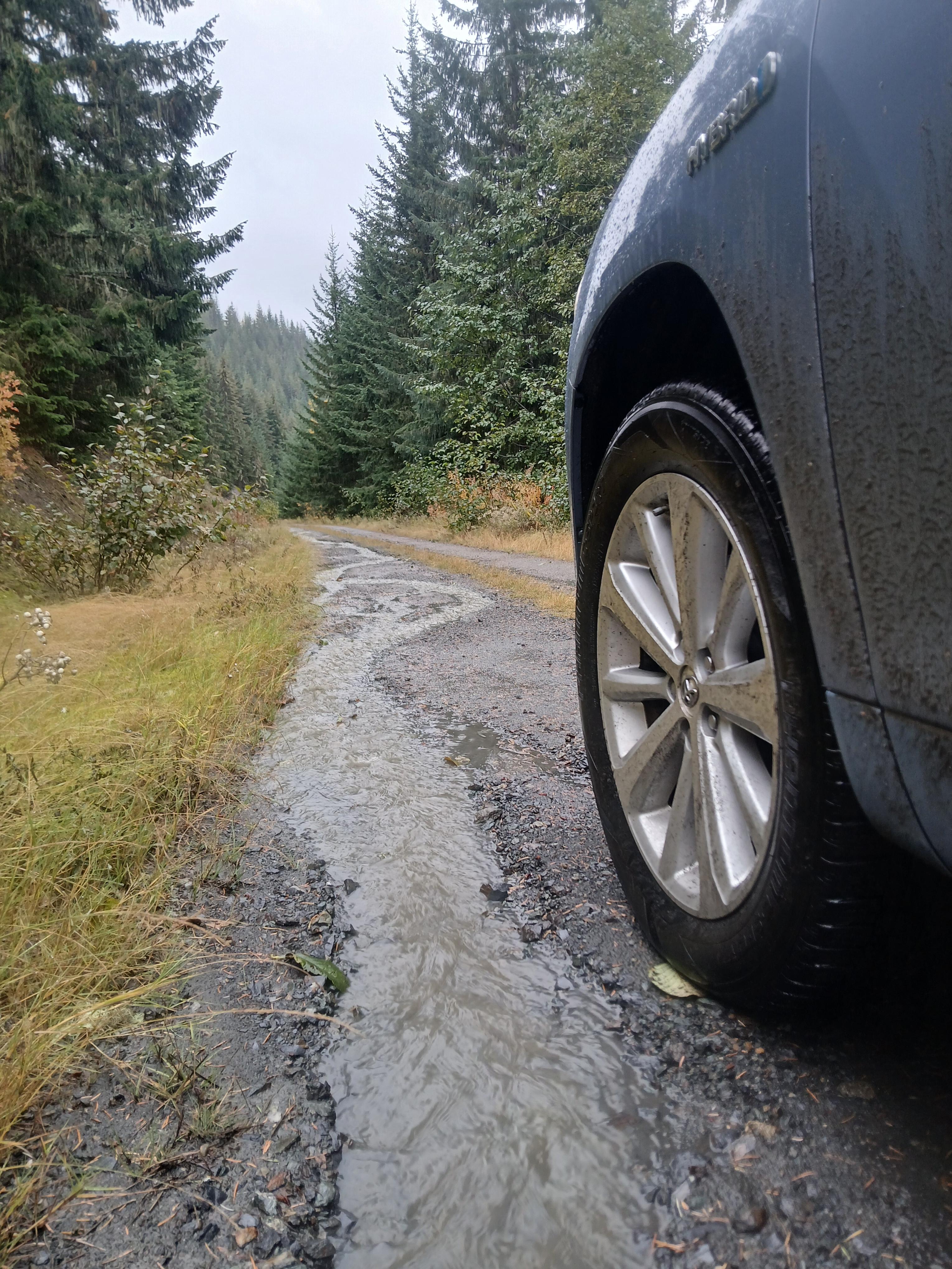 A car tire next to water rushing down a forest road