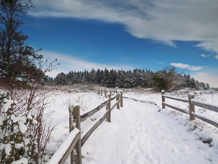 A split rail fence borders a snowy trail going off into the distance.