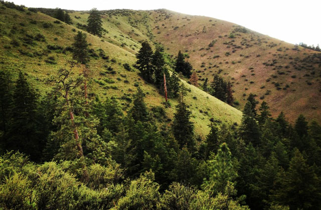 A view of Manastash Ridge, a hike in the Eastern portion of the Mountains to Sound Greenway. Photo by Adaset.